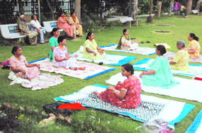 Health-conscious women perform yoga at a park in Jalandhar to stay fit. 