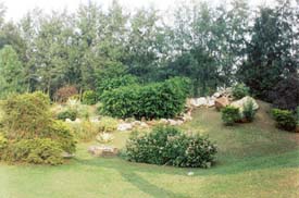 Shrubberies add character to a landscaped garden