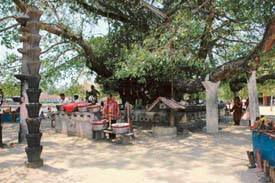 The templeless temple in Ochira in Kerala is one of the few dedicated to Parabrahman, which is formless