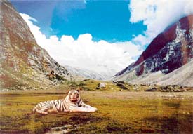 STRIKING A POSE: A photograph on display at the Chandigarh Museum 