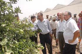 The Punjab Governor, Lieut-Gen S.F. Rodrigues, visits Punjabs largest citrus nursery at Jallowal in Jalandhar