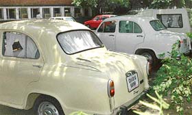 Curtains down on rules: In complete violation of rules, government vehicles have pulled down curtains in Chandigarh