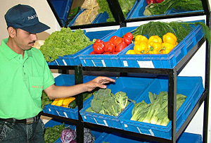 Exotic vegetables on display at Fruits n Veggies that opened in Jalandhar on Thursday.