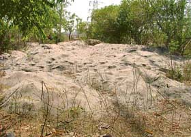 Heaps of flyash dumped in a park at the Focal Point in Ludhiana