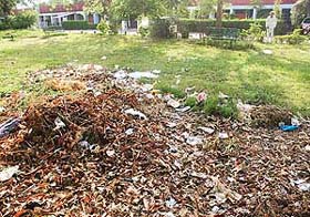 A heap of garbage in a park near the residence of the UT Administrator, Gen S.F. Rodrigues, in Sector 7, Chandigarh