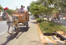 Photo by Paevesh Chauhan