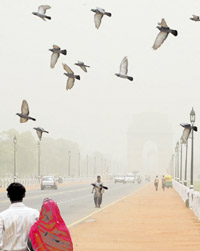 A view of Rajpath enveloped in a haze of dust.