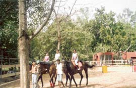 Students of Eurokids, Panchkula, enjoy horse riding as part of their summer camp activity.
