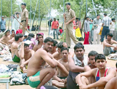 Unemployed youths waiting in a long queue for the recruitment drive in the Haryana police in Sonepat 