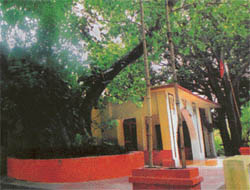The temple built adjoining the peepal tree from which Bindee Tiwaris body was hung