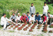 Growing off-season vegetables has proved beneficial for these local youths.
