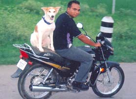 Kulwinder Singh and Harry on their motor cycle.