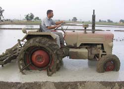 A farmer tills his fields for sowing paddy in Nawanshahr district. 