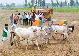 BJP workers protest against diesel price hike in Mohali