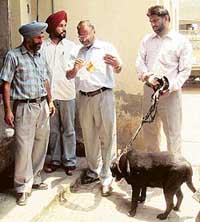 Fingerprint experts take prints from the room of the hotel where an unidentified body was found in Ludhiana on Thursday. Sniffer dogs were also pressed into service.