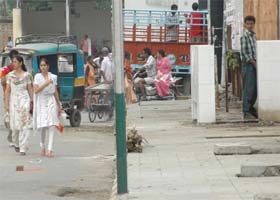 A view of an open public urinal outside the Government Girls Senior Secondary School at Fantom Ganj in Jalandhar