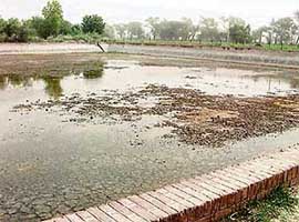 A water storage tank at Jandwala Meerasangla village, Abohar, has dried up owing to official apathy.