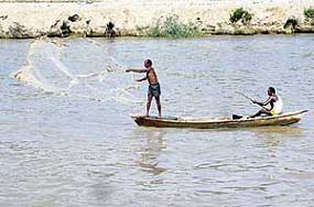 Rajashan feeder near Harike barrage