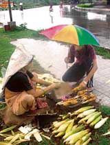 Rain or no rain. It is business as usual for this woman selling corn in Chandigarh on Friday