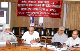 From left: The Director, Extension Education, PAU, Dr S.S. Gill, the ICAR Additional Director-General, Dr R. Prasad, the ADG (ICAR), Dr J.P. Mishra, and the Zonal Director, Dr A.K. Mehta, at the inauguration of a workshop for KVK programme coordinators at PAU in Ludhiana on Thursday