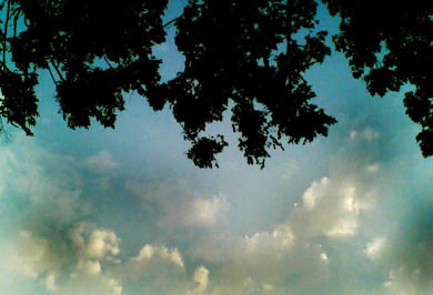 Dark clouds gather in the sky in Ludhiana on Friday