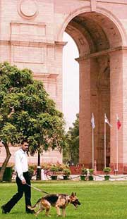 A police officer patrols with a sniffer dog at India Gate in New Delhi on Sunday. A massive search was carried out at the monument after the police received information that a bomb had been planted there.