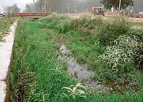 A water channel with abundant vegetation hinders flow in the border belt