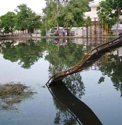 Come rains and the parks in Jalandhar are flooded with water. This park in Rajinder Nagar, near the District Administrative Complex, Jalandhar, was a pool of water
