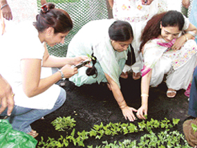 Participants learn plantation techniques during a training course in floriculture for women, which concluded at Punjab Agricultural University, Ludhiana, on Friday. 