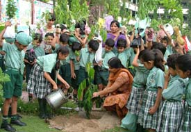 Students of Green Land Senior Secondary School plant saplings during Vanmahotsava Week in the school on Monday