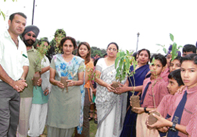 Ryan International School, Sector 49, Chandigarh, celebrates Green Environment Week on Saturday. The saplings group of the school distributed herbal plants among students for schools herbal garden. 