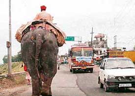 A mahout rides an elephant on a busy road