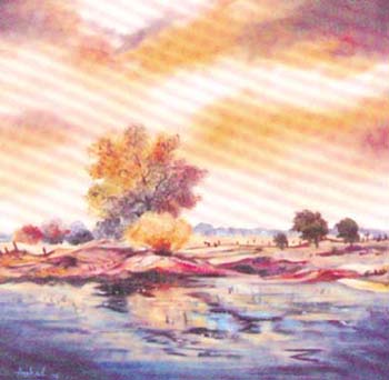 Reflection by M. Arshad Ameen