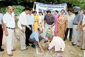 Saplings being planted at Government Model High School, Sector 43, Chandigarh