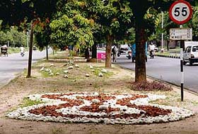 The Chandigarh Administration has raised objections to the beautification drive on the road berms dividing Sectors 17 and 18 in Chandigarh
