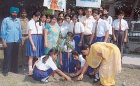 Students of KVM School plant saplings at a Kitchlu Nagar park in