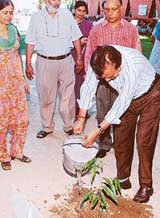 Canara Bank Deputy General Manager H. Biswas waters the sapling after planting it at the Sector 47 Kendriya Vidyalaya in Chandigarh on Friday