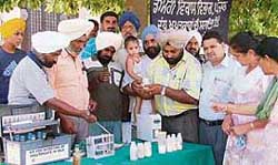 Milk samples being tested at a camp at Sarabha Nagar in Ludhiana on Saturday.