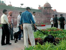 Sniffer dogs scan the area around the Red Fort in Delhi on Sunday as part of the security drill for the Independence Day celebrations