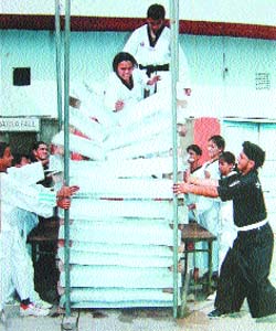Ruby demonstrates her skills by breaking of ice slabs in Amritsar