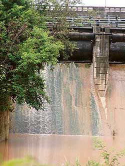 A leaking radial gate of Sukhna Lake at the regulator end.