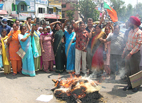 BJP activists burn effigy of Union Minister Kumari Selja to protest against an Agrofed scam in Ambala on Monday.