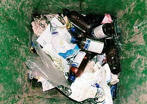 Bottles of cough syrups in a dustbin at the Panjab University Student Centre on Wednesday.