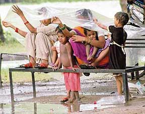 Two women along with their little ones at Sector 20 during a shower in Chandigarh on Wednesday. Various parts of the city had intermittent rain. 