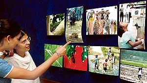 Girls have a look at the photo exhibition on environment during the environment film festival organised at Tagore Theatre on Wednesday. 