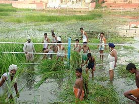 Villagers perform kar seva to clean the Kapal Mochan sarovar adjacent to the Kapal Mochan Gurdwara in Bilaspur Block of Yamunanagar
