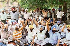 Veterinary pharmacists hold dharna in support of their demands in Ludhiana on Wednesday.