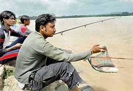An angler with his catch after the Chandigarh Administration lifted the ban on angling at the Sukhna Lake in Chandigarh on Friday.