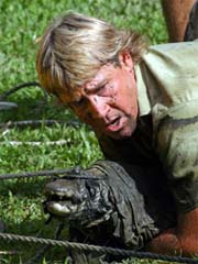 Steve Irwin catching a crocodile