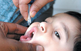 A child being given pulse polio drops in the Capital on Sunday.